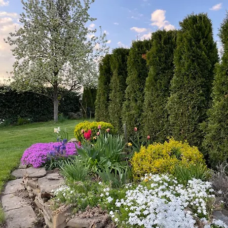 Apartamento Skurčák *